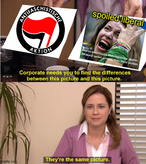 They're the same picture... | spoiled liberal | image tagged in memes,they're the same picture | made w/ Imgflip meme maker