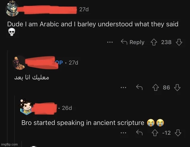 Redditors when foreign languages exist: | made w/ Imgflip meme maker