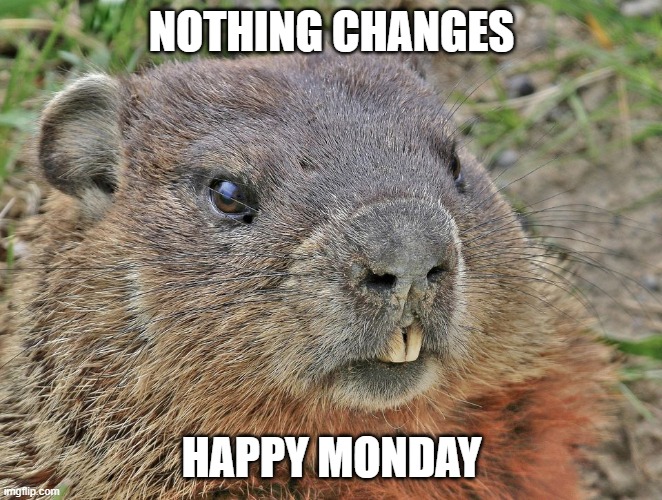 Ground hog | NOTHING CHANGES; HAPPY MONDAY | image tagged in ground hog | made w/ Imgflip meme maker