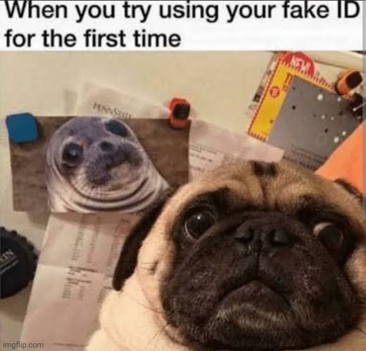 So true | image tagged in haha,meem | made w/ Imgflip meme maker
