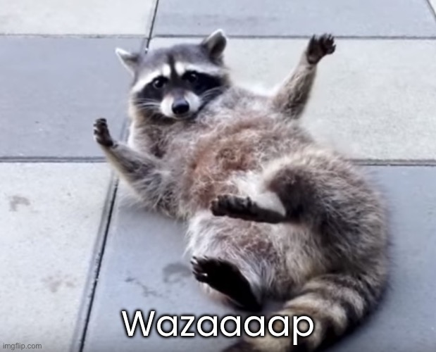 Wazaaaap | made w/ Imgflip meme maker