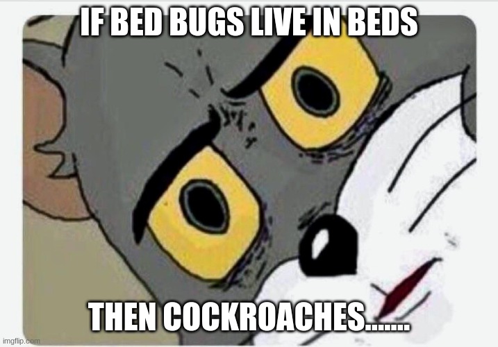 uh oh | IF BED BUGS LIVE IN BEDS; THEN COCKROACHES....... | image tagged in disturbed tom | made w/ Imgflip meme maker