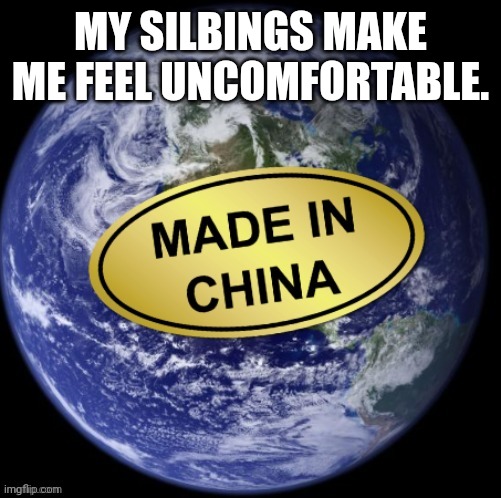 Earth Was Made In China | MY SILBINGS MAKE ME FEEL UNCOMFORTABLE. | image tagged in earth was made in china | made w/ Imgflip meme maker