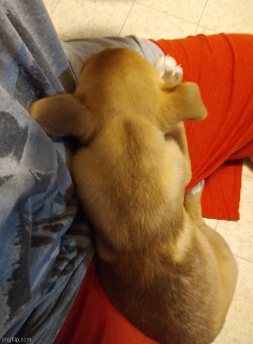 help my foot is asleep | made w/ Imgflip meme maker