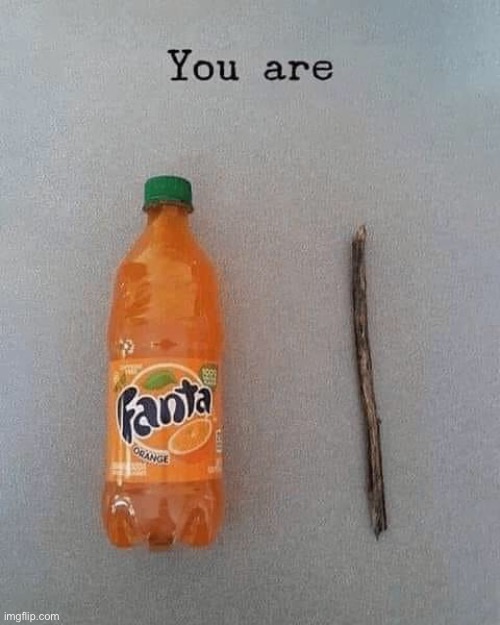 image tagged in fanta,stick,memes,funny,wholesome,wholesome content | made w/ Imgflip meme maker