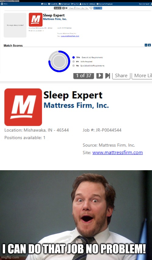 THIS IS A REAL JOB AD. IT'S ON INDIANA CAREERS | I CAN DO THAT JOB NO PROBLEM! | image tagged in oooohhhh,job,work,sleeping,mattress | made w/ Imgflip meme maker