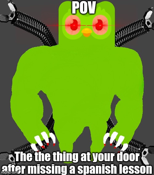 duolingo | POV; The the thing at your door after missing a spanish lesson | image tagged in pov,owl,spanish | made w/ Imgflip meme maker