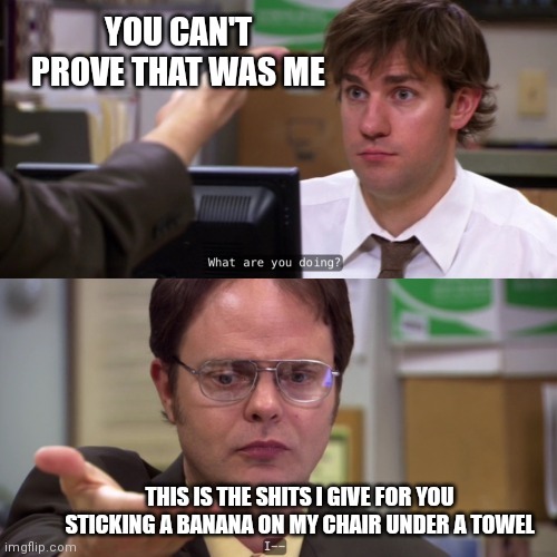 jim and dwight | YOU CAN'T PROVE THAT WAS ME; THIS IS THE SHITS I GIVE FOR YOU STICKING A BANANA ON MY CHAIR UNDER A TOWEL | image tagged in jim and dwight | made w/ Imgflip meme maker