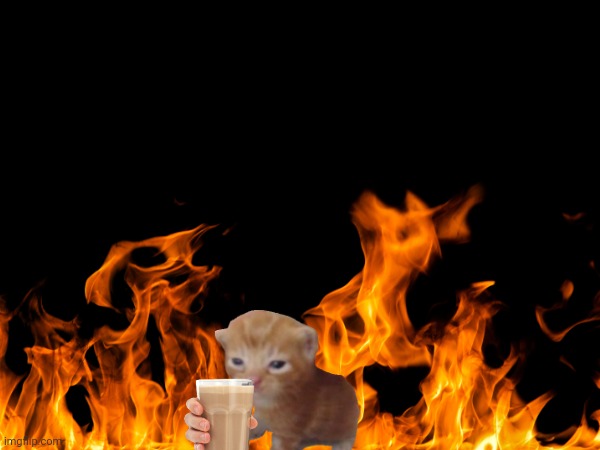 Herbert gifts you choccy milk | image tagged in herbert,cat,fire,choccy milk | made w/ Imgflip meme maker