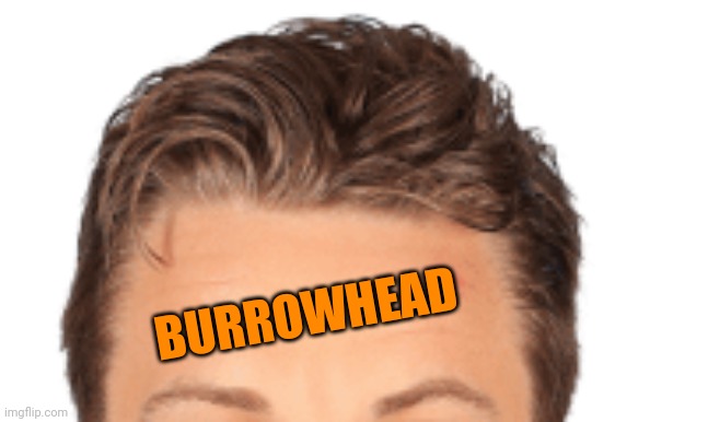 Burrowhead | BURROWHEAD | image tagged in burrowhead | made w/ Imgflip meme maker