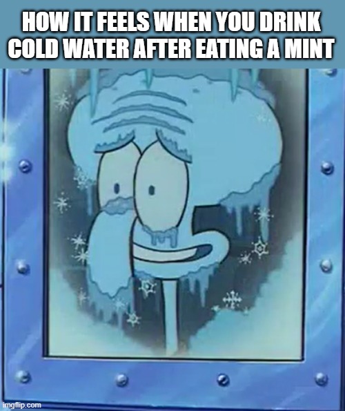 Frozen Squidward | HOW IT FEELS WHEN YOU DRINK COLD WATER AFTER EATING A MINT | image tagged in frozen squidward | made w/ Imgflip meme maker