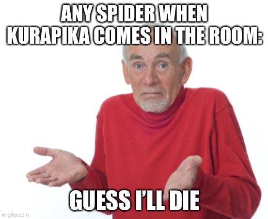 Hunter hunter meme #1 also I don’t know how to spell arachnophobia guys name correctly so sorry if I spelled it wrong :( | ANY SPIDER WHEN KURAPIKA COMES IN THE ROOM:; GUESS I’LL DIE | image tagged in guess i'll die,anime,hunter x hunter | made w/ Imgflip meme maker