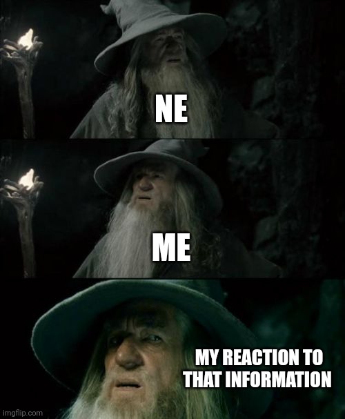 Confused Gandalf Meme | NE ME MY REACTION TO THAT INFORMATION | image tagged in memes,confused gandalf | made w/ Imgflip meme maker