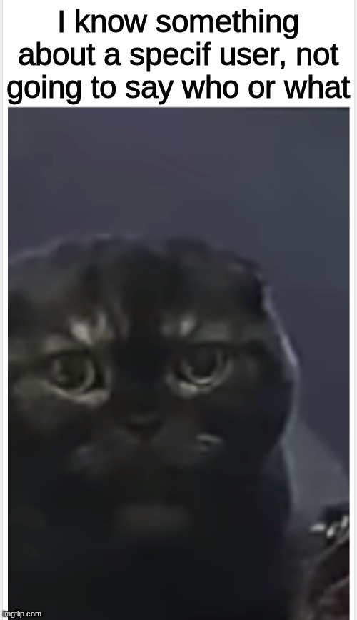 Debt Cat with Caption | I know something about a specif user, not going to say who or what | image tagged in debt cat with caption | made w/ Imgflip meme maker