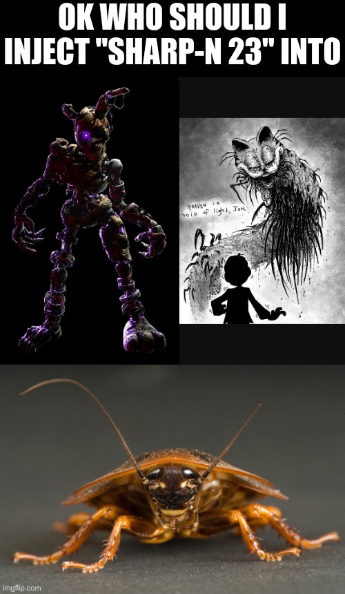 I'm thinking either gorefield or burntrap. A cockroach is lame | OK WHO SHOULD I INJECT "SHARP-N 23" INTO | image tagged in burntrap,gorefield,cockroach | made w/ Imgflip meme maker