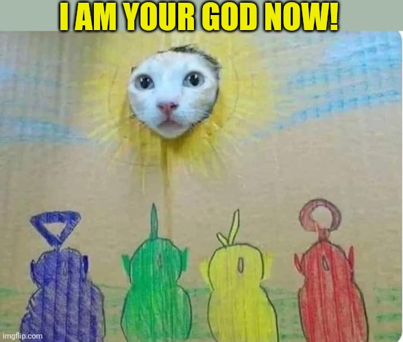 THE CAT IS A GOD | I AM YOUR GOD NOW! | image tagged in cats,teletubbies,funny cats | made w/ Imgflip meme maker