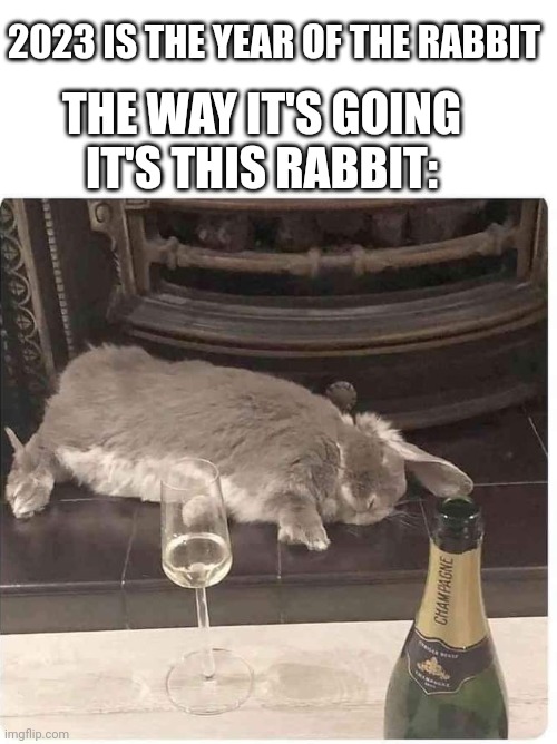 I FEEL YA BUNNY |  2023 IS THE YEAR OF THE RABBIT; THE WAY IT'S GOING
IT'S THIS RABBIT: | image tagged in bunny,rabbit,2023 | made w/ Imgflip meme maker
