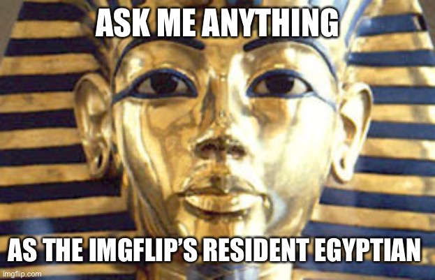 Ask in comments | ASK ME ANYTHING; AS THE IMGFLIP’S RESIDENT EGYPTIAN | image tagged in egyptian | made w/ Imgflip meme maker