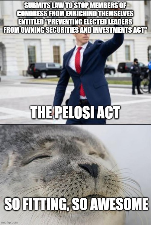 sticking it to Nancy | SUBMITS LAW TO STOP MEMBERS OF CONGRESS FROM ENRICHING THEMSELVES ENTITLED "PREVENTING ELECTED LEADERS FROM OWNING SECURITIES AND INVESTMENTS ACT"; THE PELOSI ACT; SO FITTING, SO AWESOME | image tagged in hawley,memes,satisfied seal | made w/ Imgflip meme maker