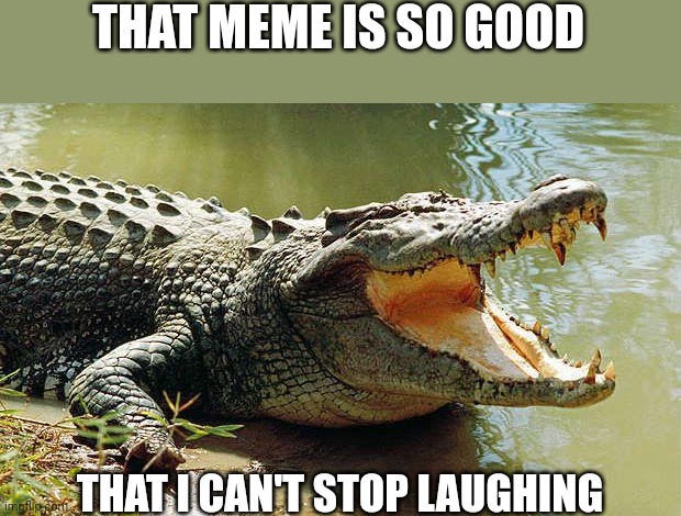 Crocodile barrel roll | THAT MEME IS SO GOOD; THAT I CAN'T STOP LAUGHING | image tagged in crocodile barrel roll | made w/ Imgflip meme maker