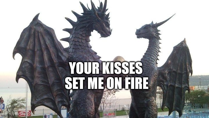 dragon couple | YOUR KISSES; SET ME ON FIRE | image tagged in dragon couple | made w/ Imgflip meme maker