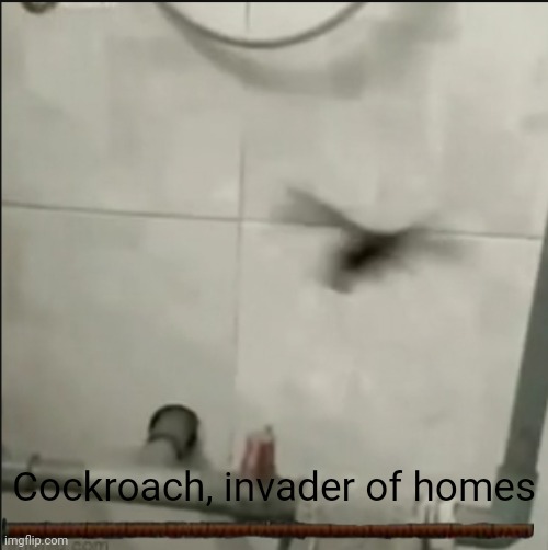 Cockroach, invader of homes | made w/ Imgflip meme maker