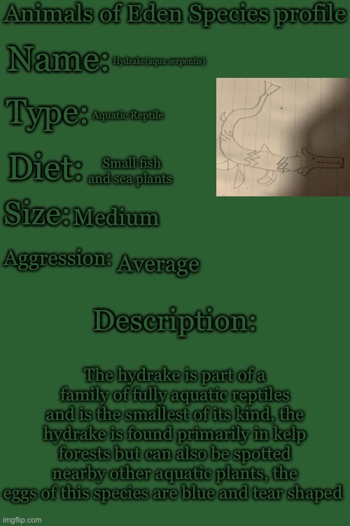 Animals of Eden Species Profile | Hydrake(aqua serpentis); Aquatic Reptile; Small fish and sea plants; Medium; Average; The hydrake is part of a family of fully aquatic reptiles and is the smallest of its kind, the hydrake is found primarily in kelp forests but can also be spotted nearby other aquatic plants, the eggs of this species are blue and tear shaped | image tagged in animals of eden species profile | made w/ Imgflip meme maker