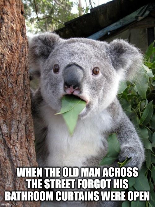 Surprised Koala Meme | WHEN THE OLD MAN ACROSS THE STREET FORGOT HIS BATHROOM CURTAINS WERE OPEN | image tagged in memes,surprised koala | made w/ Imgflip meme maker