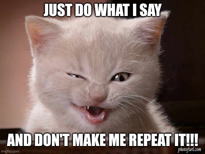 Dragons | JUST DO WHAT I SAY; AND DON'T MAKE ME REPEAT IT!!! | image tagged in dragons | made w/ Imgflip meme maker