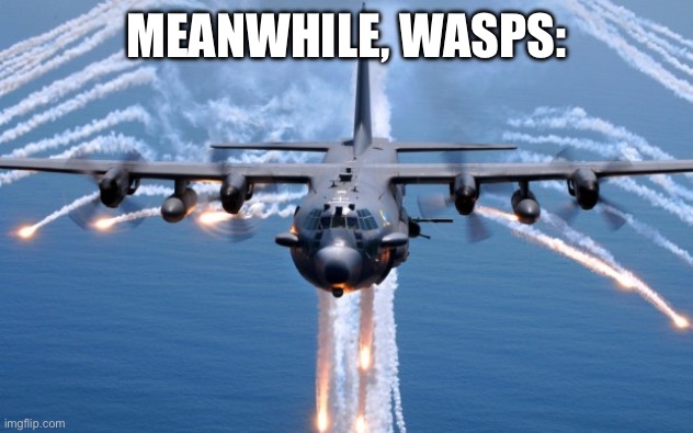 AC130 Gunship | MEANWHILE, WASPS: | image tagged in ac130 gunship | made w/ Imgflip meme maker