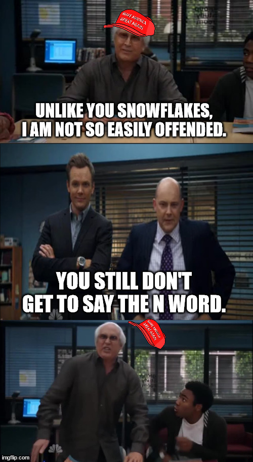 you don't. | UNLIKE YOU SNOWFLAKES, I AM NOT SO EASILY OFFENDED. YOU STILL DON'T GET TO SAY THE N WORD. | image tagged in maga snowflake | made w/ Imgflip meme maker