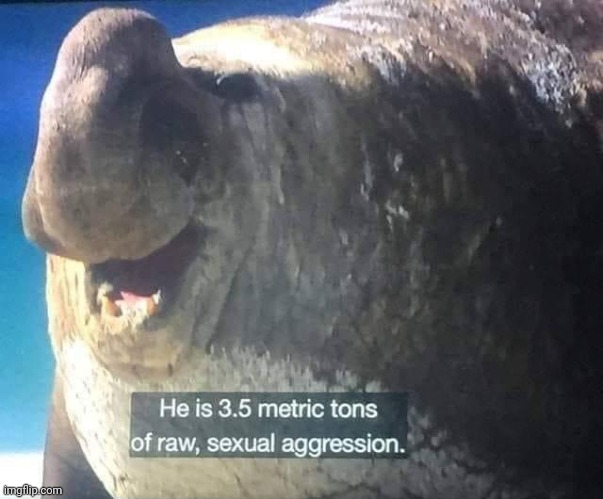 Raw sexual Aggression | image tagged in raw sexual aggression | made w/ Imgflip meme maker