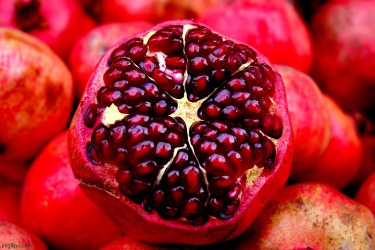 pomegranate | image tagged in pomegranate | made w/ Imgflip meme maker