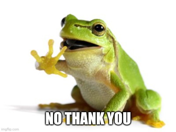 How 'bout no frog | NO THANK YOU | image tagged in how 'bout no frog | made w/ Imgflip meme maker