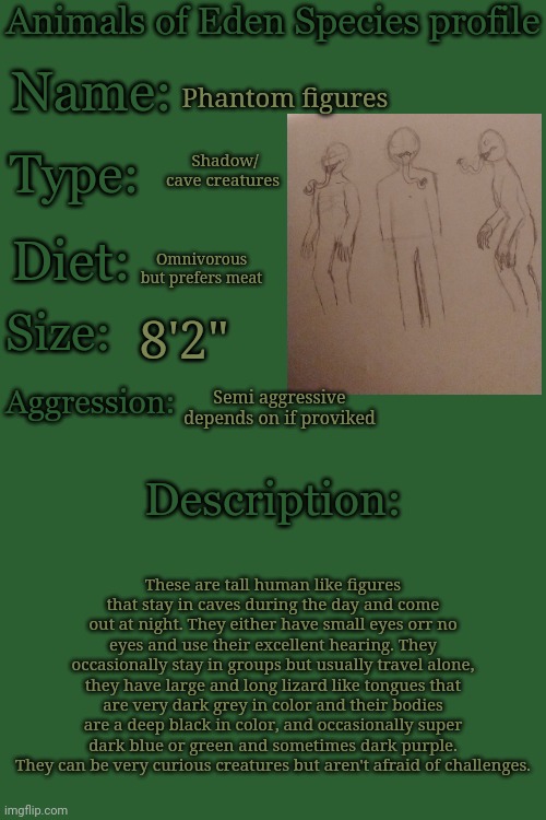 Sorry for the bad quality | Phantom figures; Shadow/ cave creatures; Omnivorous but prefers meat; 8'2"; Semi aggressive depends on if proviked; These are tall human like figures that stay in caves during the day and come out at night. They either have small eyes orr no eyes and use their excellent hearing. They occasionally stay in groups but usually travel alone, they have large and long lizard like tongues that are very dark grey in color and their bodies are a deep black in color, and occasionally super dark blue or green and sometimes dark purple. They can be very curious creatures but aren't afraid of challenges. | image tagged in animals of eden species profile | made w/ Imgflip meme maker