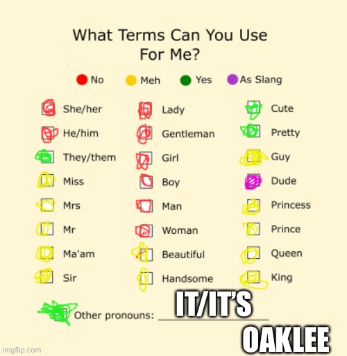 Pronouns Sheet | IT/IT’S; OAKLEE | image tagged in pronouns sheet | made w/ Imgflip meme maker