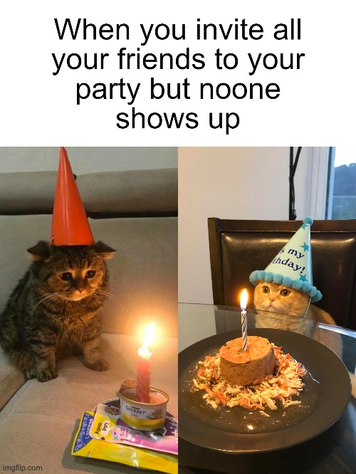 :( | image tagged in memes,birthday,funny,cats,relatable memes,repost | made w/ Imgflip meme maker