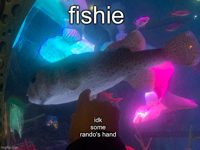 fishie; idk some rando's hand | made w/ Imgflip meme maker