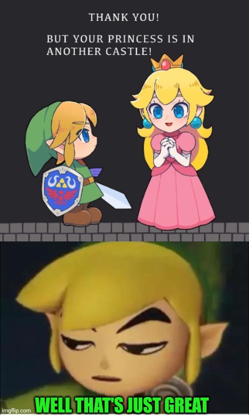 WRONG WORLD, LINK | WELL THAT'S JUST GREAT | image tagged in legend of zelda,link,princess peach,super mario | made w/ Imgflip meme maker