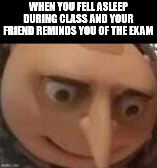 woops | WHEN YOU FELL ASLEEP DURING CLASS AND YOUR FRIEND REMINDS YOU OF THE EXAM | image tagged in gru meme | made w/ Imgflip meme maker