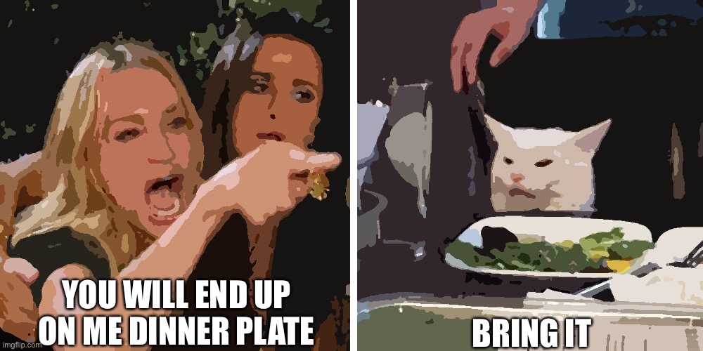 Smudge the cat | YOU WILL END UP ON ME DINNER PLATE; BRING IT | image tagged in smudge the cat | made w/ Imgflip meme maker