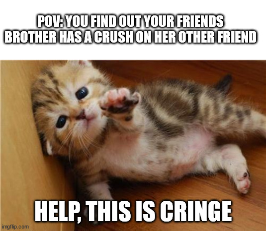 hElP | POV: YOU FIND OUT YOUR FRIENDS BROTHER HAS A CRUSH ON HER OTHER FRIEND; HELP, THIS IS CRINGE | image tagged in help me kitten | made w/ Imgflip meme maker