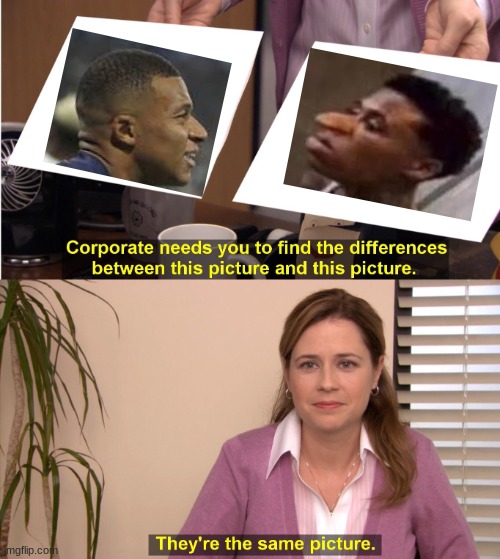 Mbappe Quandale Nose | image tagged in memes,they're the same picture,soccer,quandale dingle,twins | made w/ Imgflip meme maker