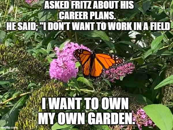 Own Your Garden | ASKED FRITZ ABOUT HIS CAREER PLANS. 
HE SAID; "I DON'T WANT TO WORK IN A FIELD; I WANT TO OWN 
MY OWN GARDEN. | image tagged in choose,garden,career | made w/ Imgflip meme maker