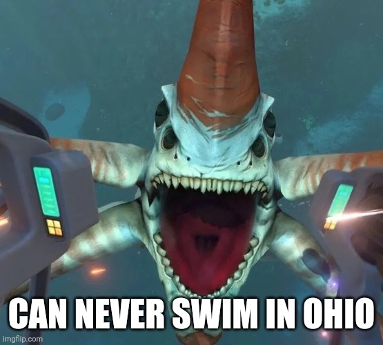 Can’t even swim in Ohio | CAN NEVER SWIM IN OHIO | image tagged in can t even swim in ohio | made w/ Imgflip meme maker