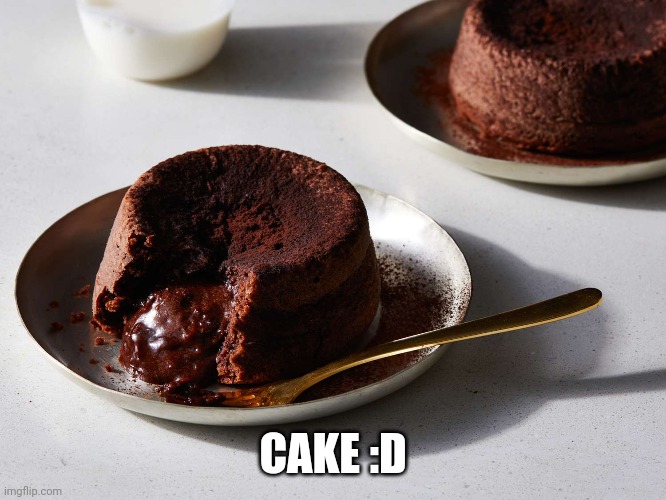 Chocolate lava cake | CAKE :D | image tagged in cake | made w/ Imgflip meme maker