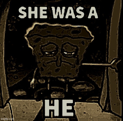 She was a he | image tagged in she was a he | made w/ Imgflip meme maker