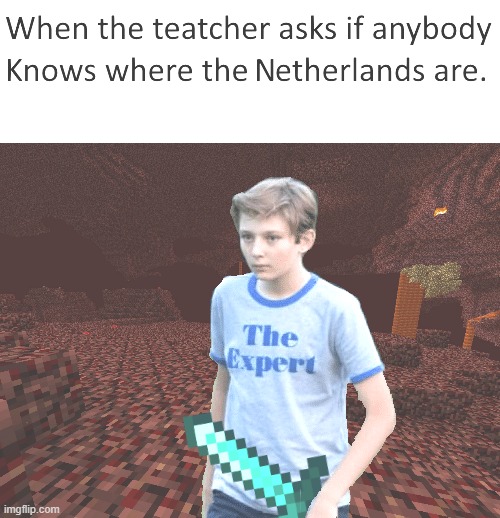 image tagged in minecraft,meme,reposting my own | made w/ Imgflip meme maker