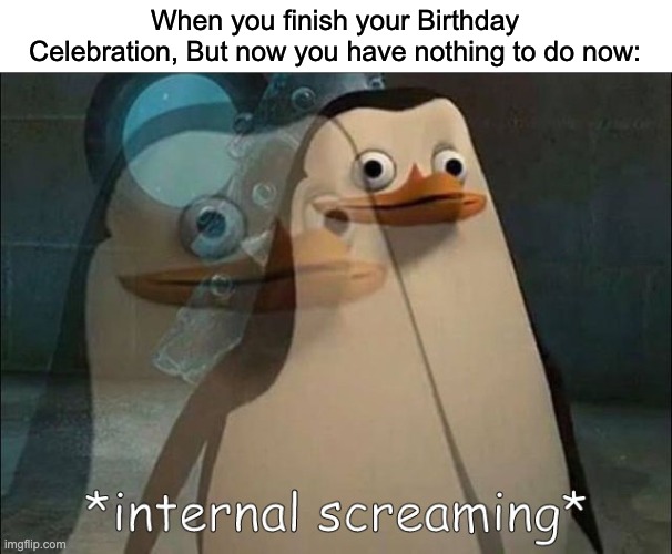 Now what? | When you finish your Birthday Celebration, But now you have nothing to do now: | image tagged in private internal screaming,birthday,memes,funny,relatable memes,happy birthday | made w/ Imgflip meme maker