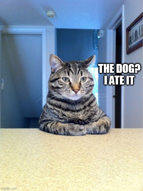 Take A Seat Cat | THE DOG?
I ATE IT | image tagged in memes,take a seat cat | made w/ Imgflip meme maker